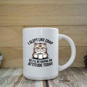 I slept like crap Mug